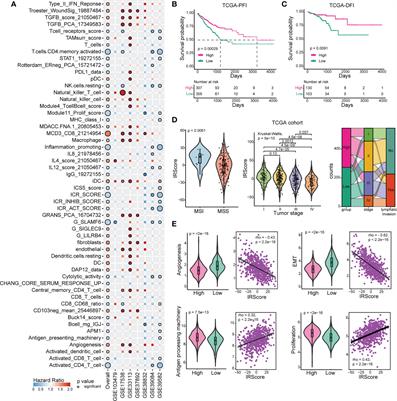 Frontiers Immune infiltrating signature based classification